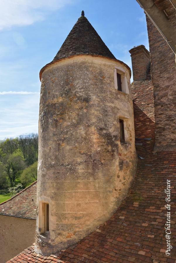 Chateau de Balleure Etrigny Extérieur photo